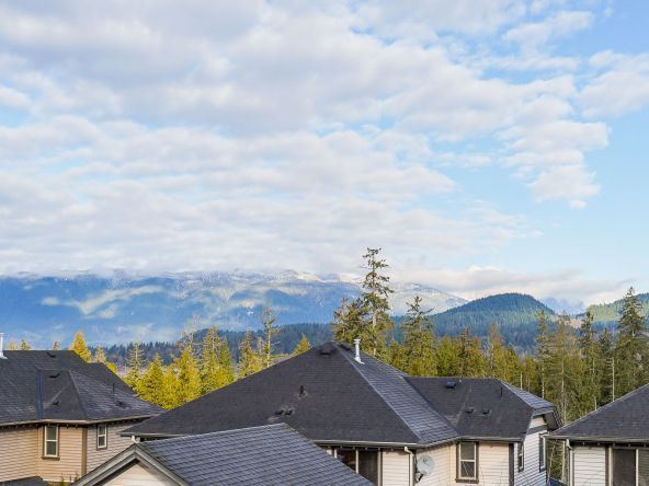 22849 136 A Avenue Maple Ridge (75)