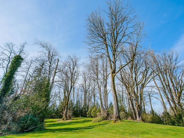 3905 Clearbrook Road Abbotsford-48