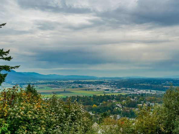 35298 Hibiscus Court Abbotsford-53