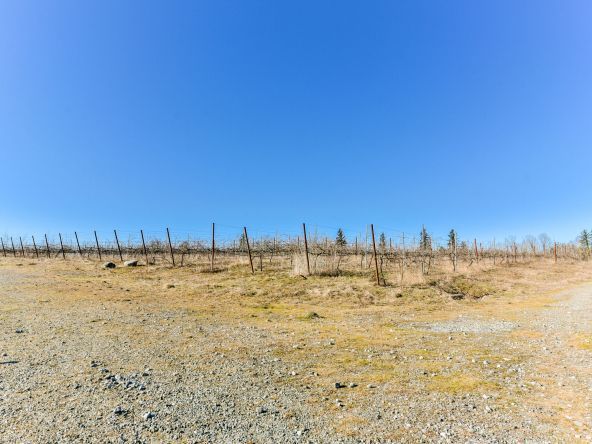 2091 Riesling Drive, Abbotsford-50