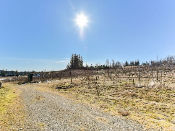 2091 Riesling Drive, Abbotsford-49