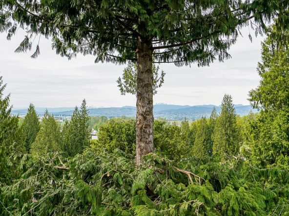 Unit 11 4001 Old Clayburn Road Abbotsford-37