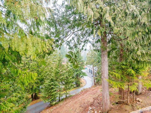 5730 Carmen Court Abbotsford-39
