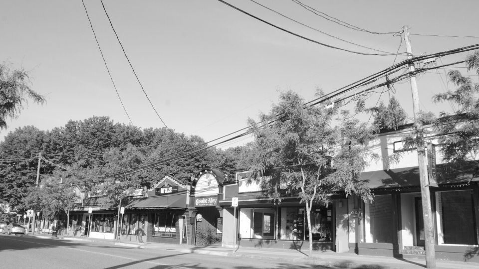 Fort Langley Realtor