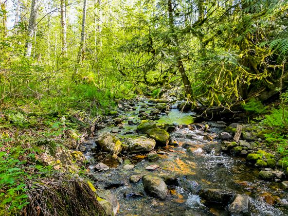 4669 Udy Road Abbotsford-70