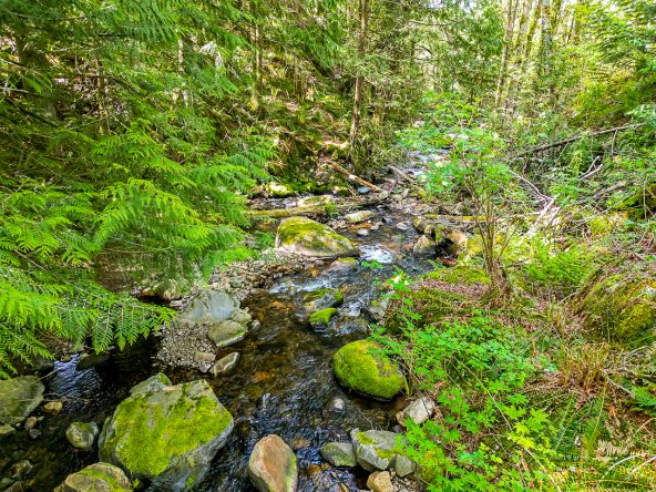 4669 Udy Road Abbotsford-69